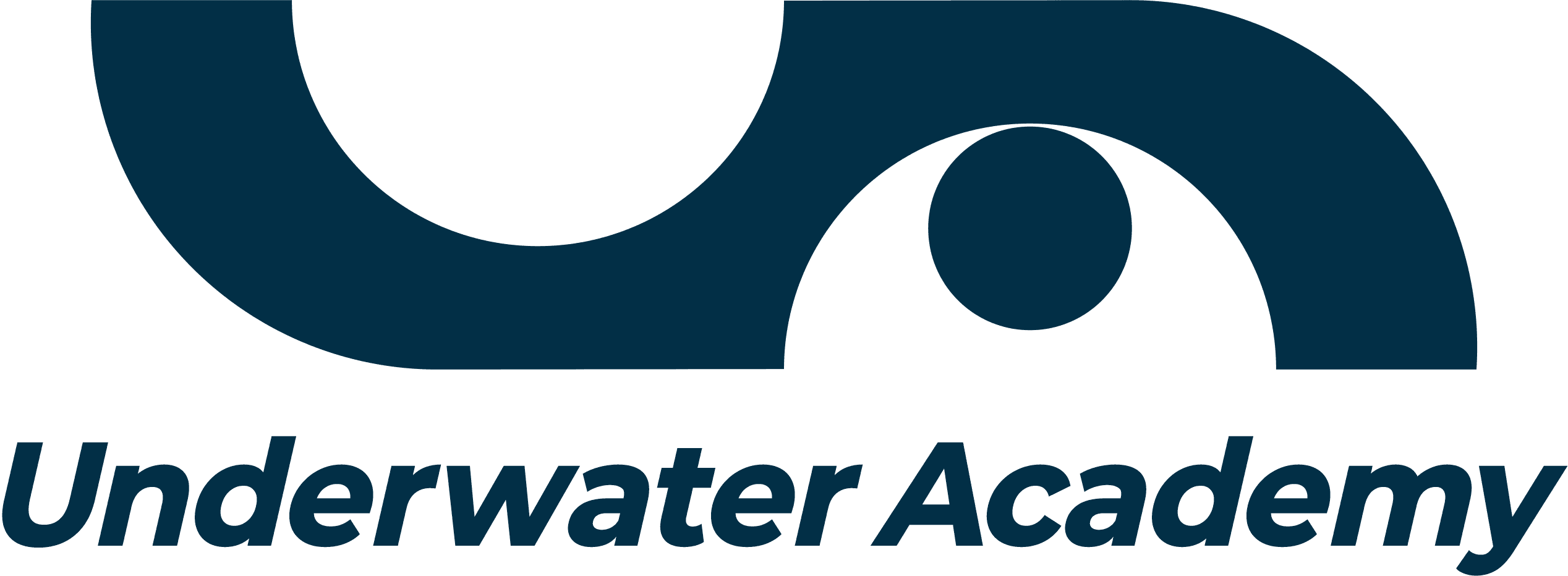 Dive Starts Here Tee